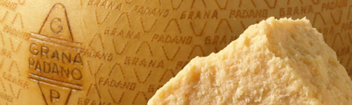 convegno_GRANAPADANO